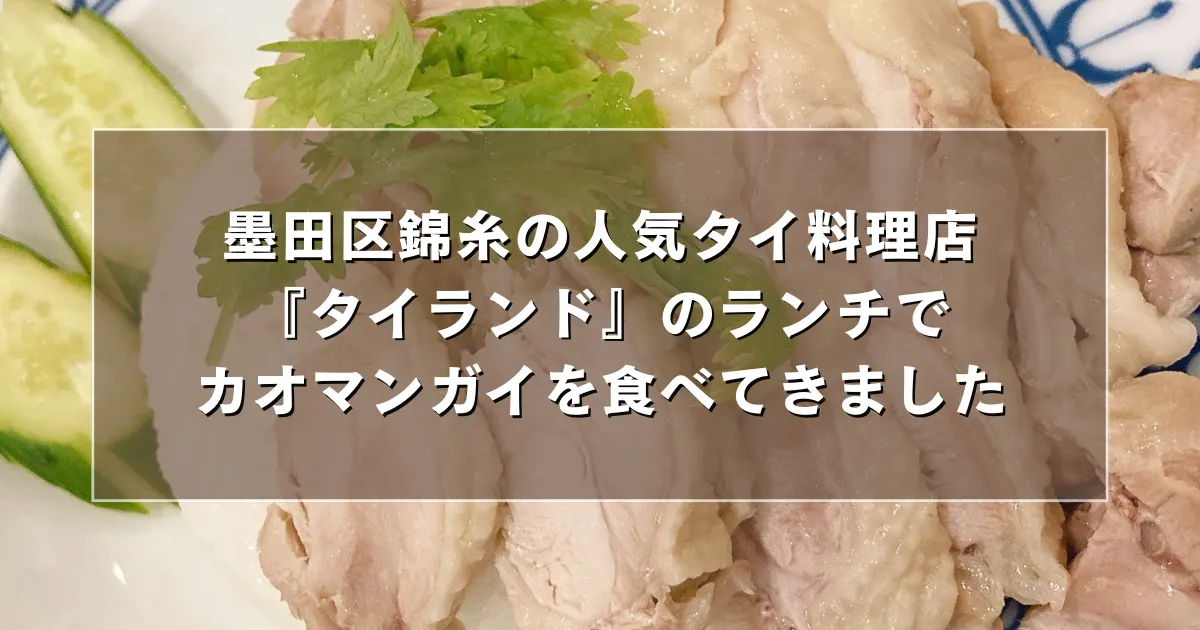 墨田区錦糸の人気タイ料理店『タイランド』のランチで美味しいカオマンガイを食べてきました